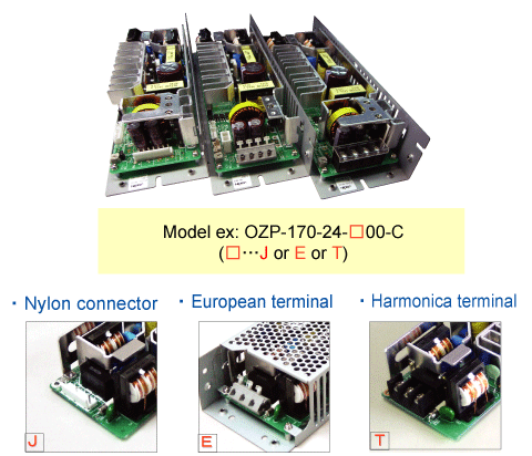 Selectable terminal type of Input/Output