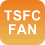 TSFCFAN