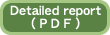 Detailed reportPDF